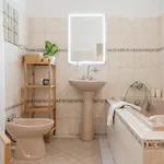 Cozyhome Signature Palisady * براتسيلافا